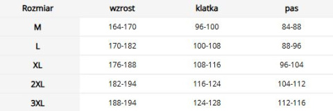 Ocieplany bezrękawnik męski z kapturem - do pracy i na co dzień REIS Ocieplany bezrękawnik męski z kapturem - do pracy i na co dzień REIS