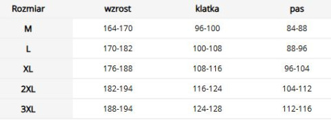 Kurtka Ochronna Męska Wodoodporna Ocieplana z Odblaskami na Zimę REIS Kurtka Ochronna Męska Wodoodporna Ocieplana z Odblaskami na Zimę REIS